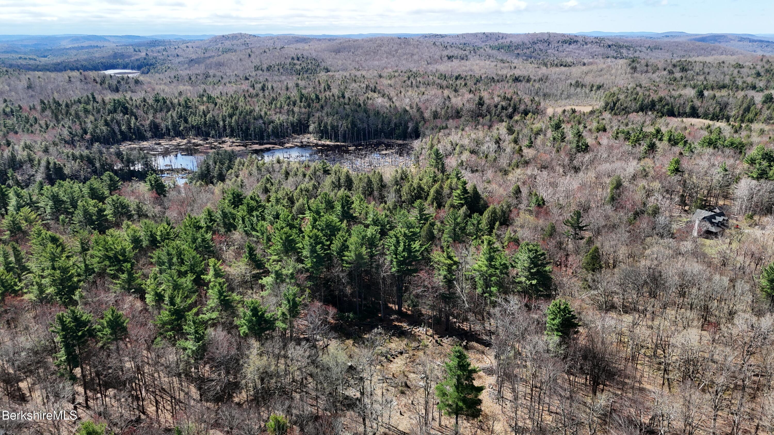 Lot 15 Dimmock Road Otis, MA 01253 - Photo 7 of 12 a view of a forest with mountains in the background