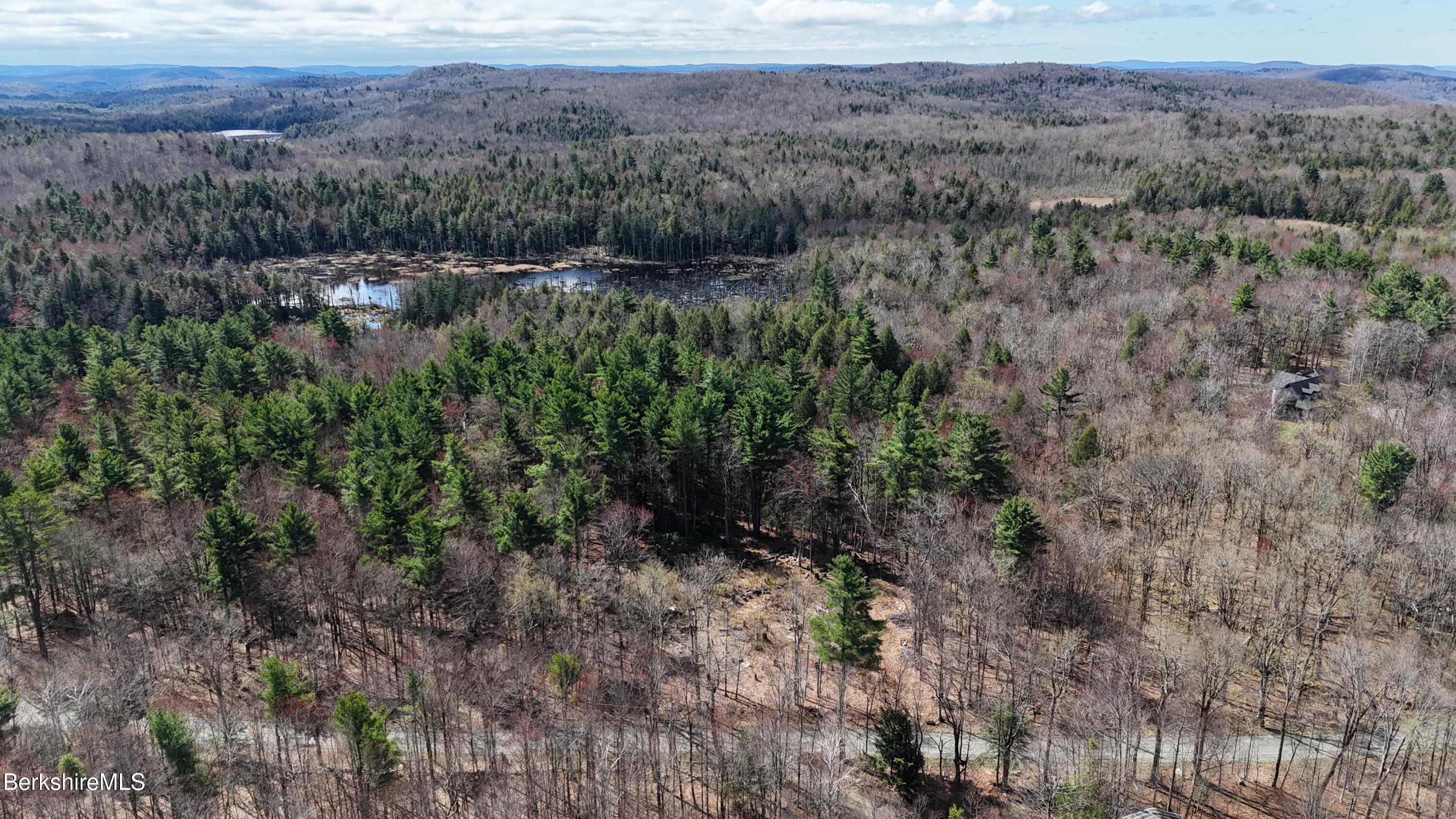 Lot 15 Dimmock Road Otis, MA 01253 - Photo 8 of 12 a view of a forest with trees in the background