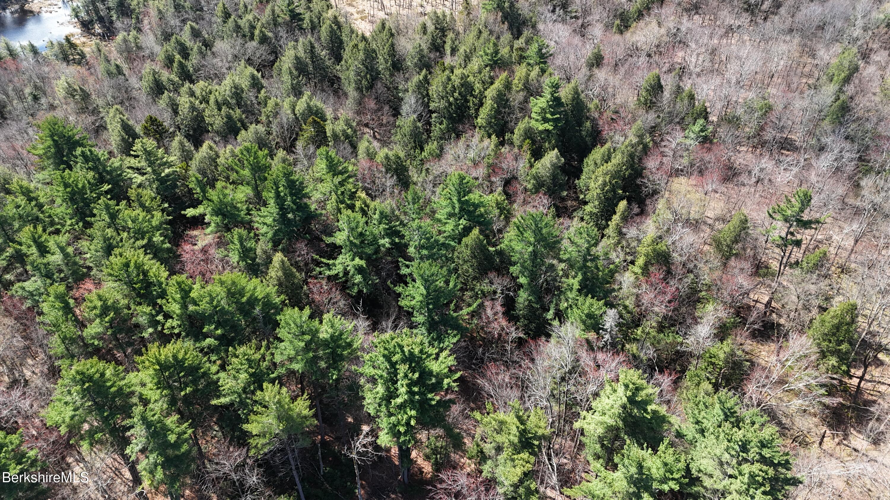 Lot 15 Dimmock Road Otis, MA 01253 - Photo 10 of 12