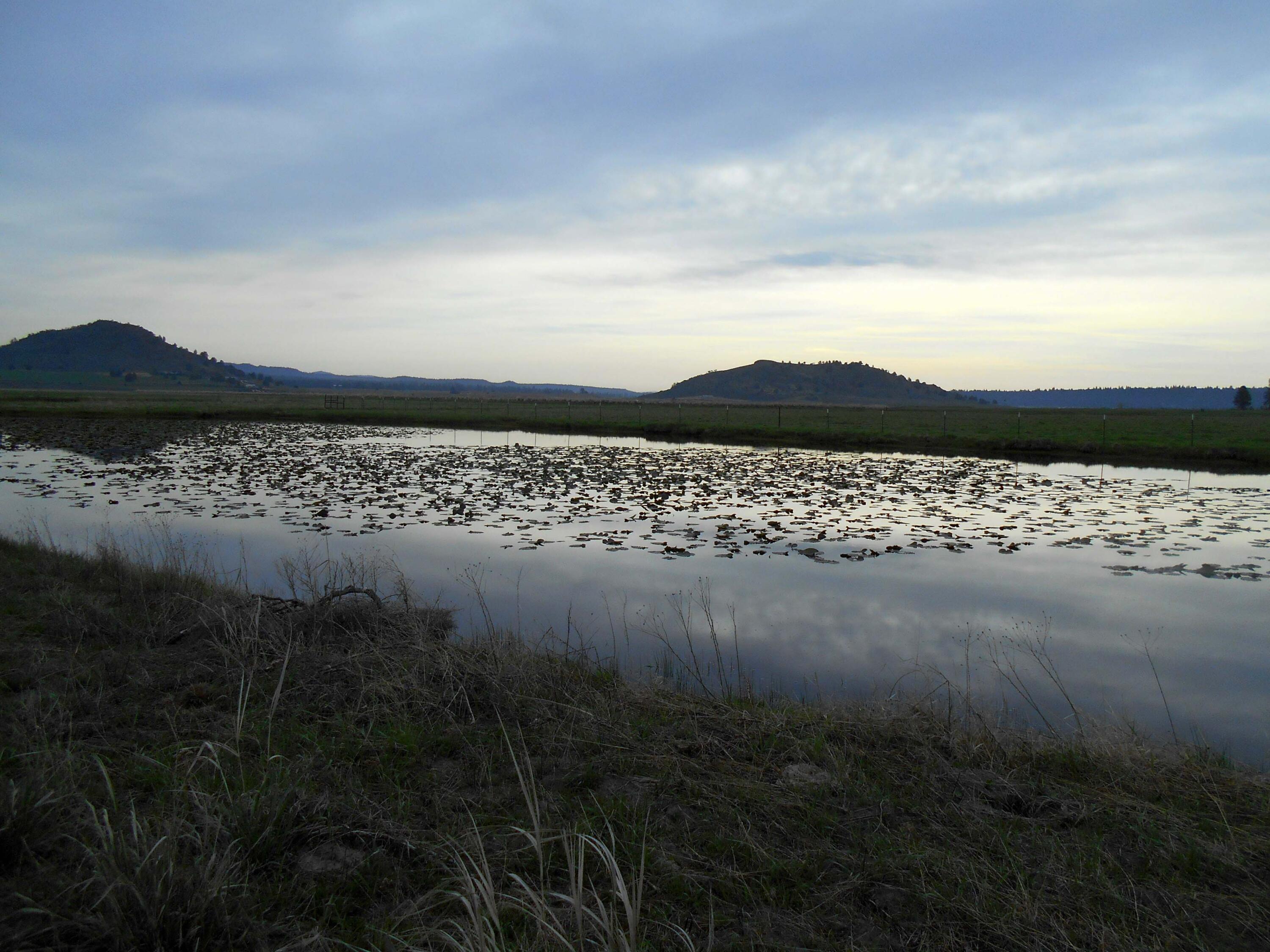 Skeen Ranch Road Chiloquin, OR 97624 - Photo 15 of 26 eagle and watch dog buttes at twilight o