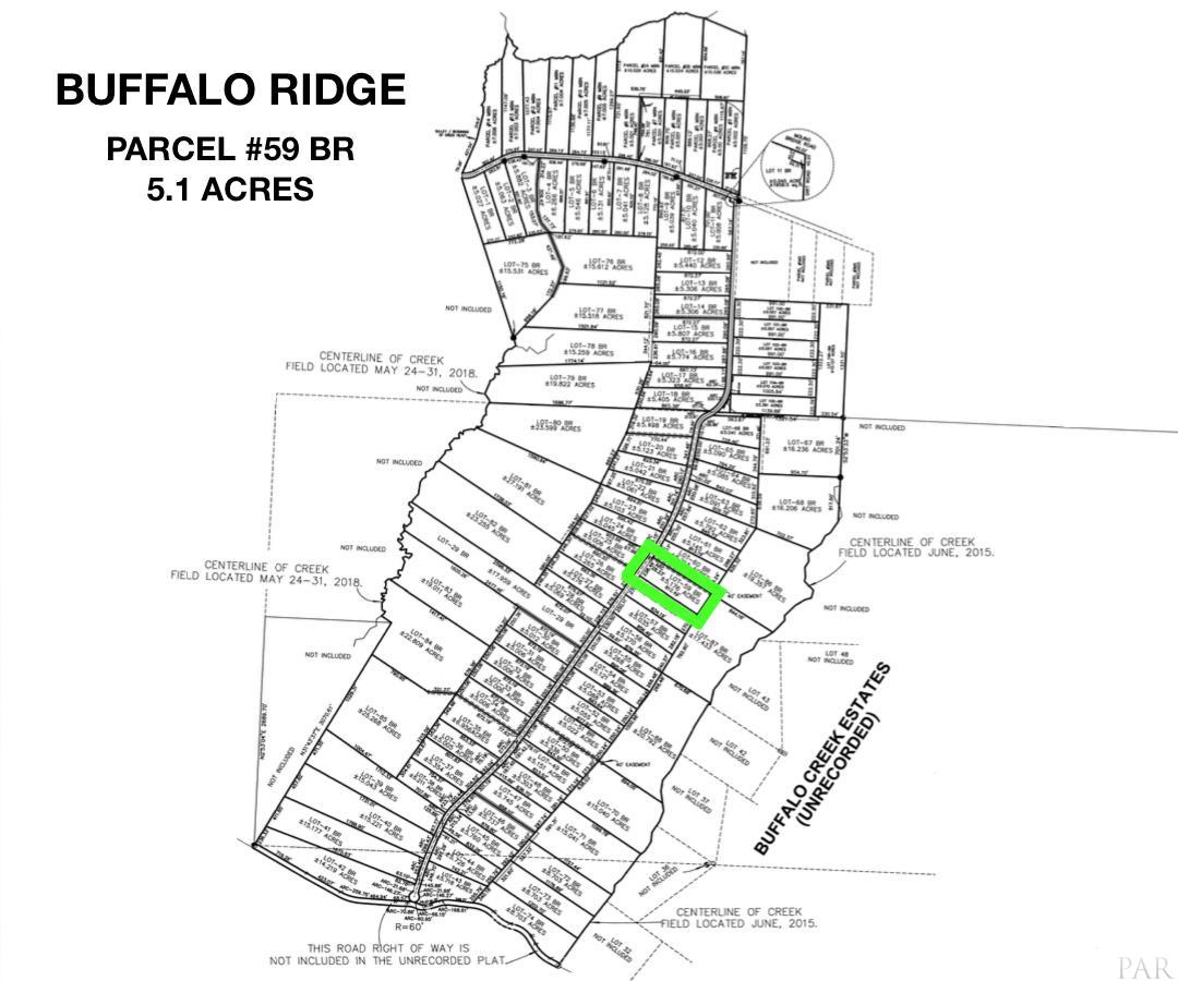 Lot 59-br Buffalo Ridge Road Pace, FL 32571 - Photo 2 of 10