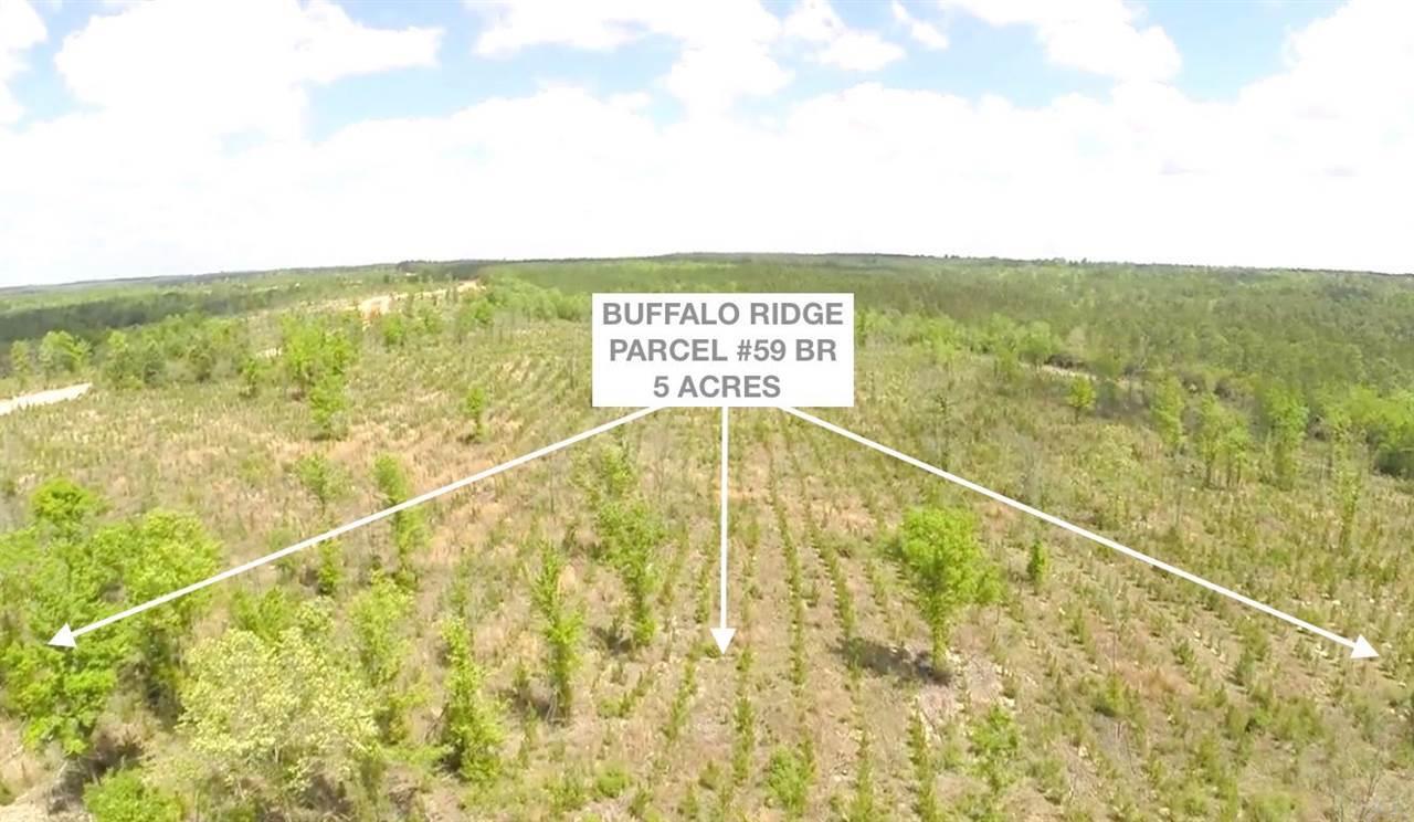 Lot 59-br Buffalo Ridge Road Pace, FL 32571 - Photo 3 of 10