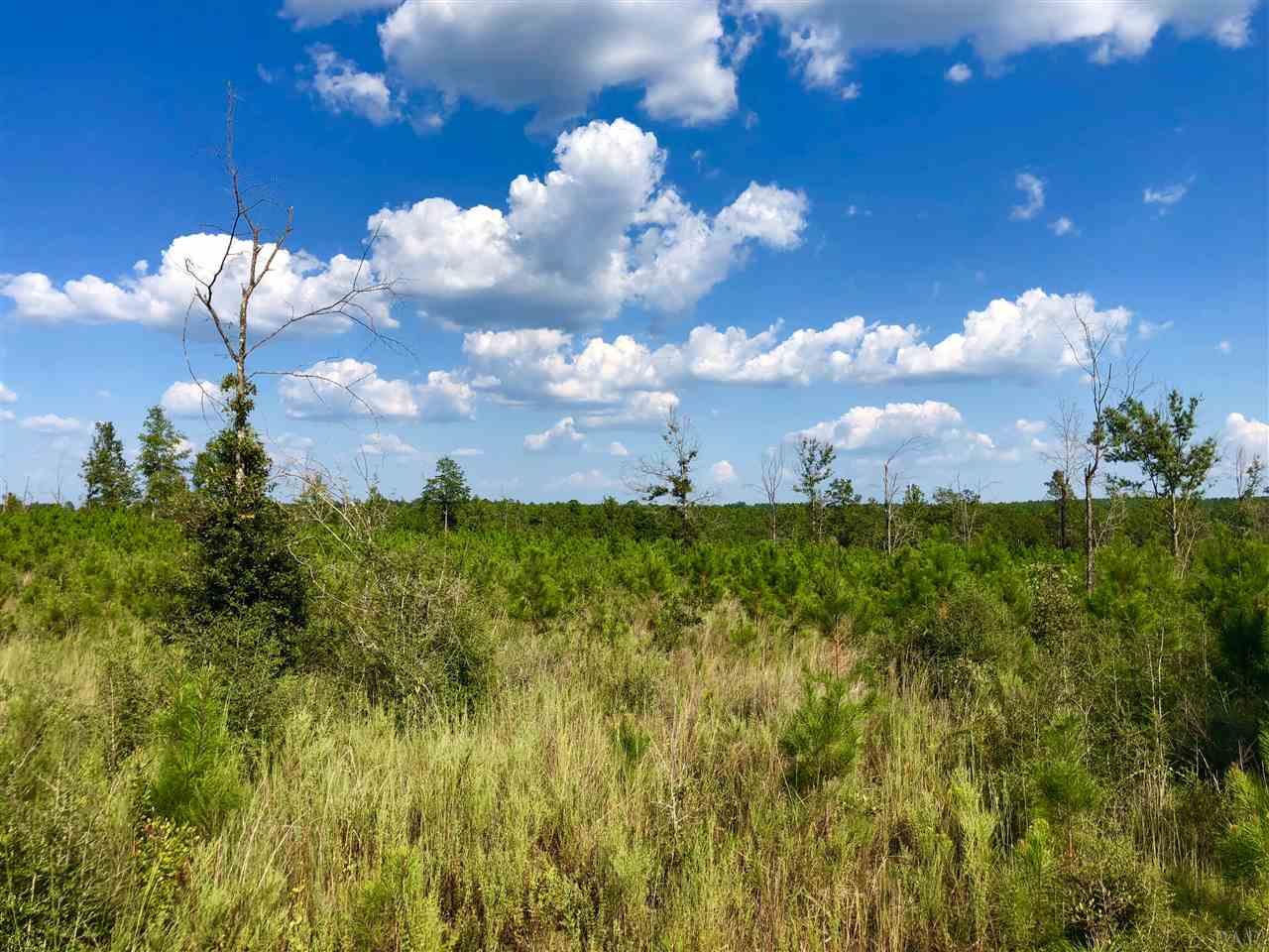 Lot 59-br Buffalo Ridge Road Pace, FL 32571 - Photo 4 of 10