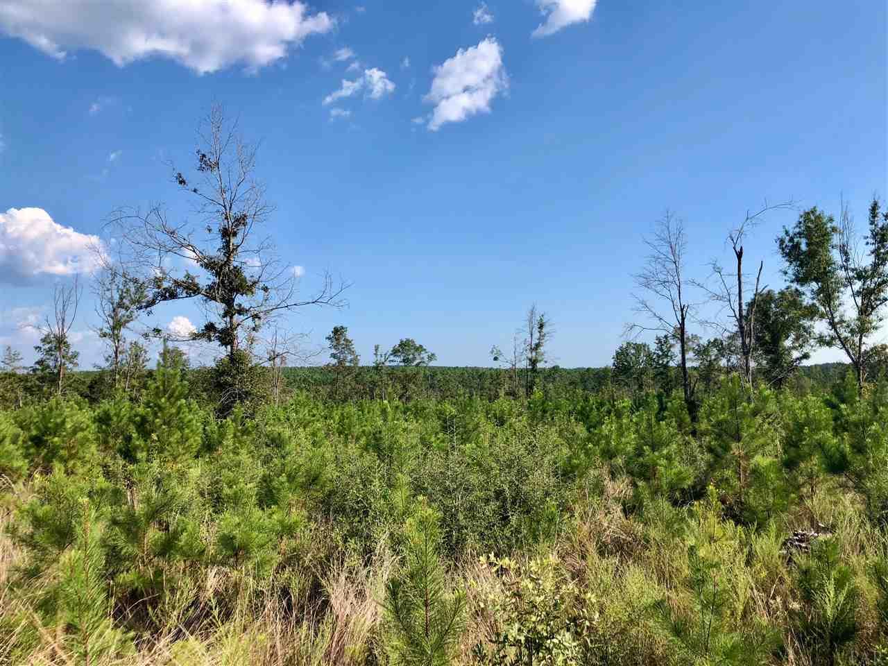 Lot 59-br Buffalo Ridge Road Pace, FL 32571 - Photo 5 of 10