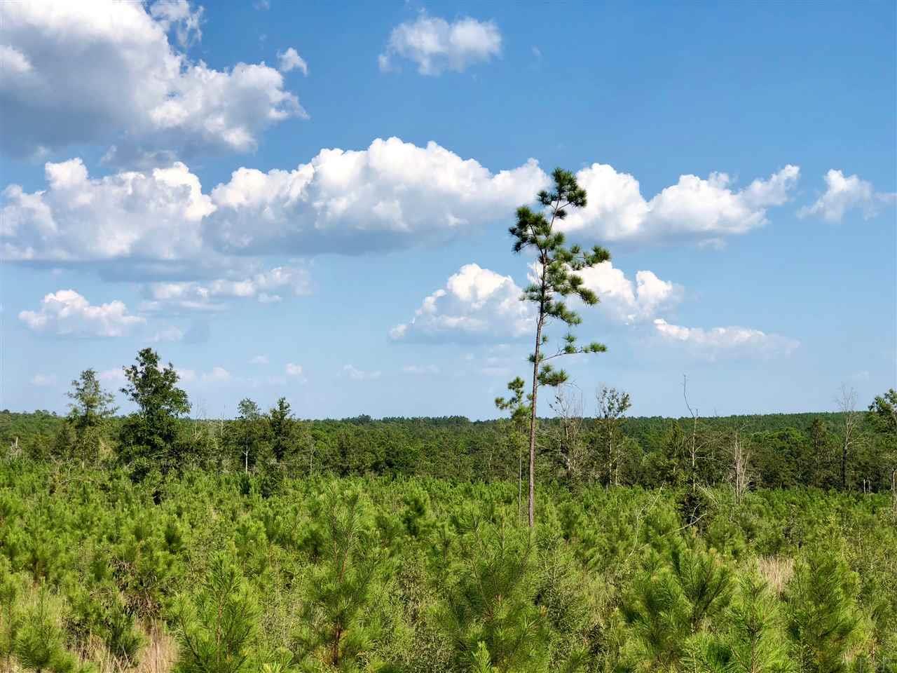 Lot 59-br Buffalo Ridge Road Pace, FL 32571 - Photo 6 of 10