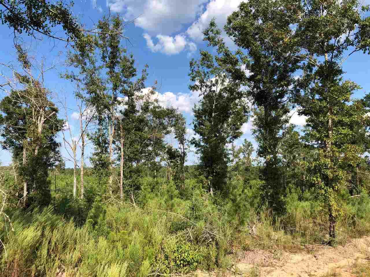 Lot 59-br Buffalo Ridge Road Pace, FL 32571 - Photo 7 of 10