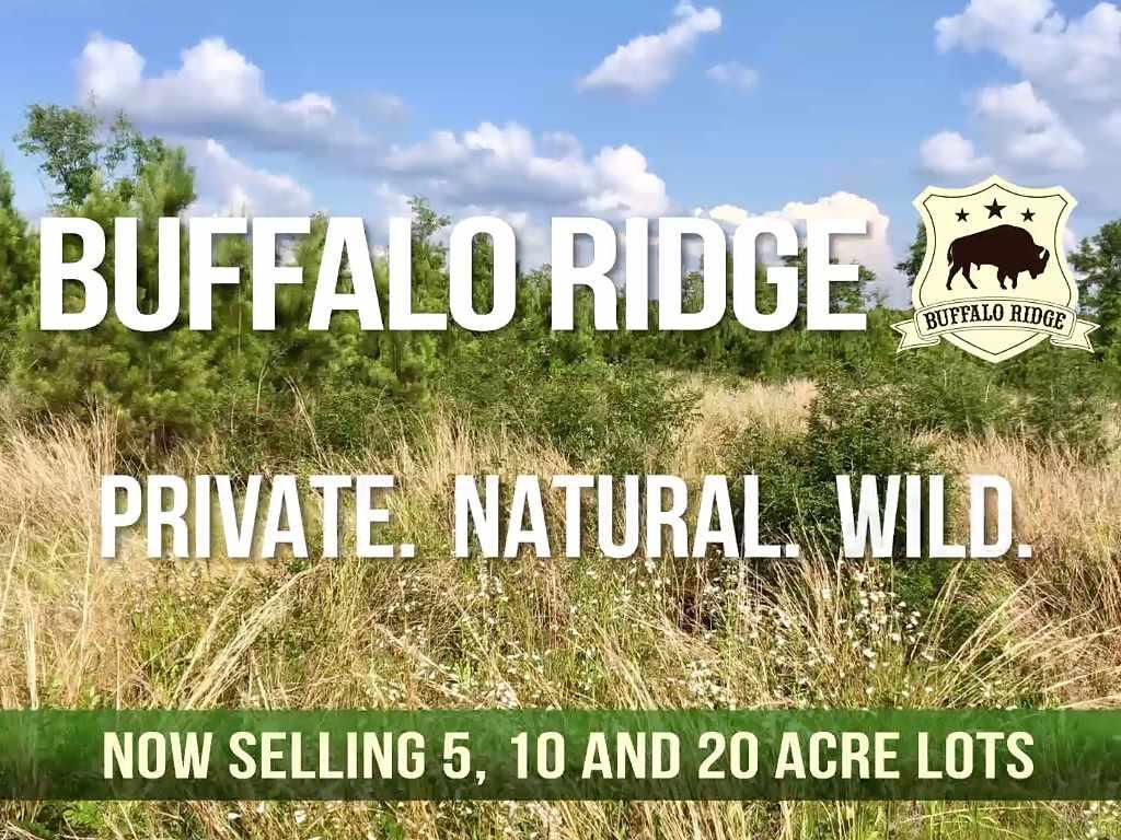 Lot 59-br Buffalo Ridge Road Pace, FL 32571 - Photo 8 of 10