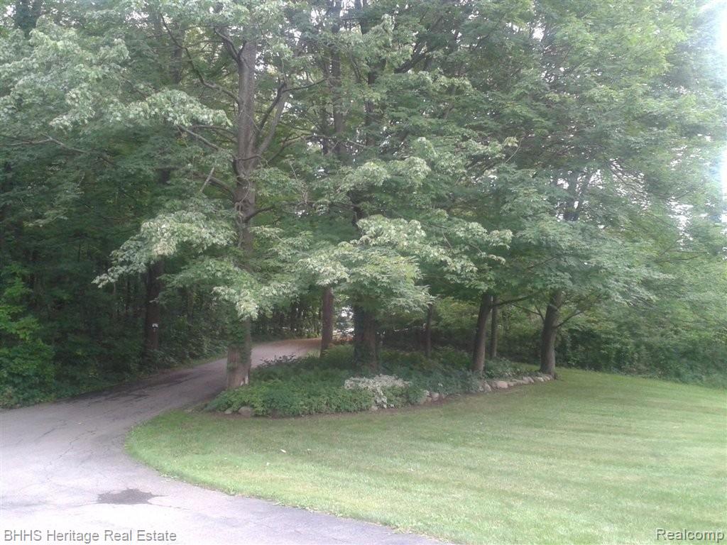 5916 Mason Road Fowlerville, MI 48836 - Photo 7 of 25 Mason Rd. yard 2