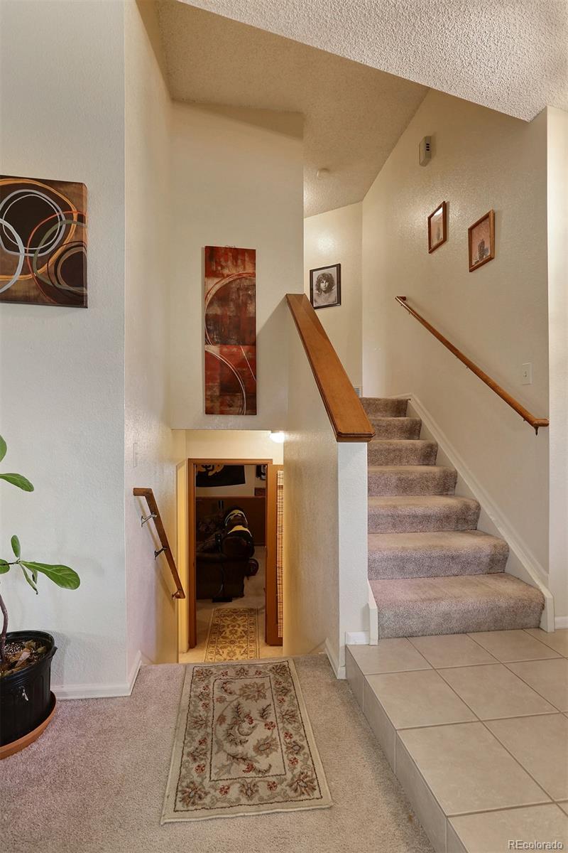 564 Ridgeglen Way Highlands Ranch, CO 80126 - Photo 8 of 21 Gallery Image 8
