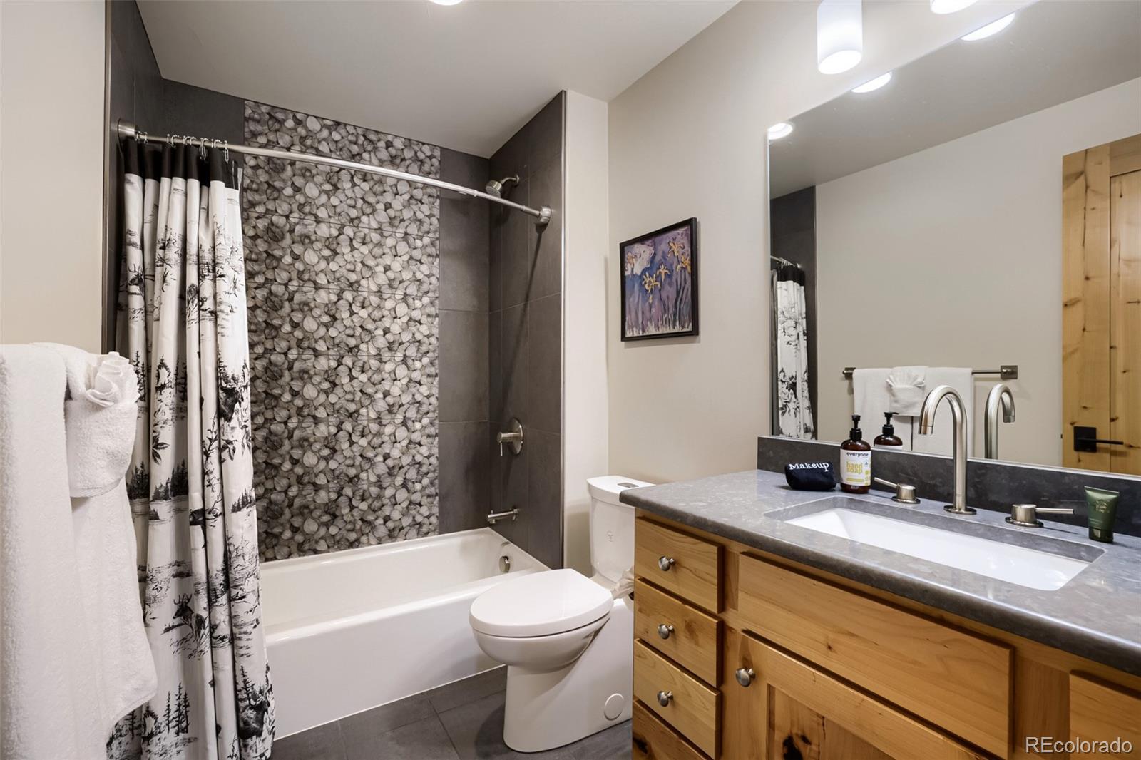 836 Maryland Creek Road Silverthorne, CO 80498 - Photo 23 of 49 a bathroom with a sink a toilet a bathtub and shower