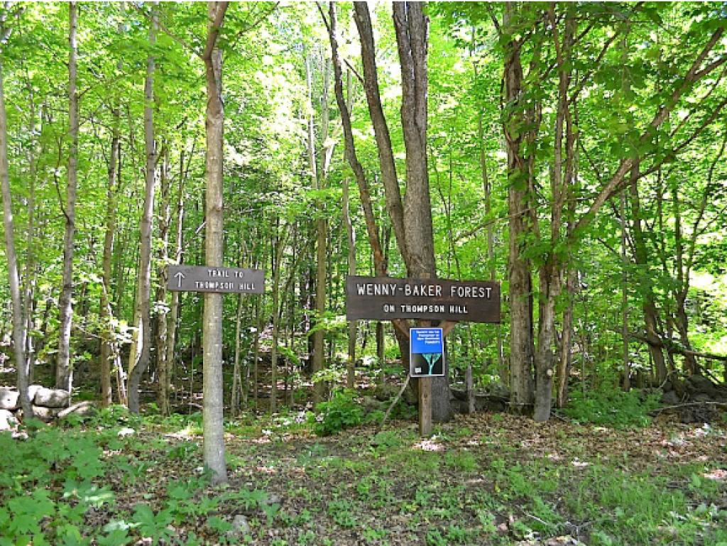 507 County Road Hillsborough, NH 03244 - Photo 22 of 22