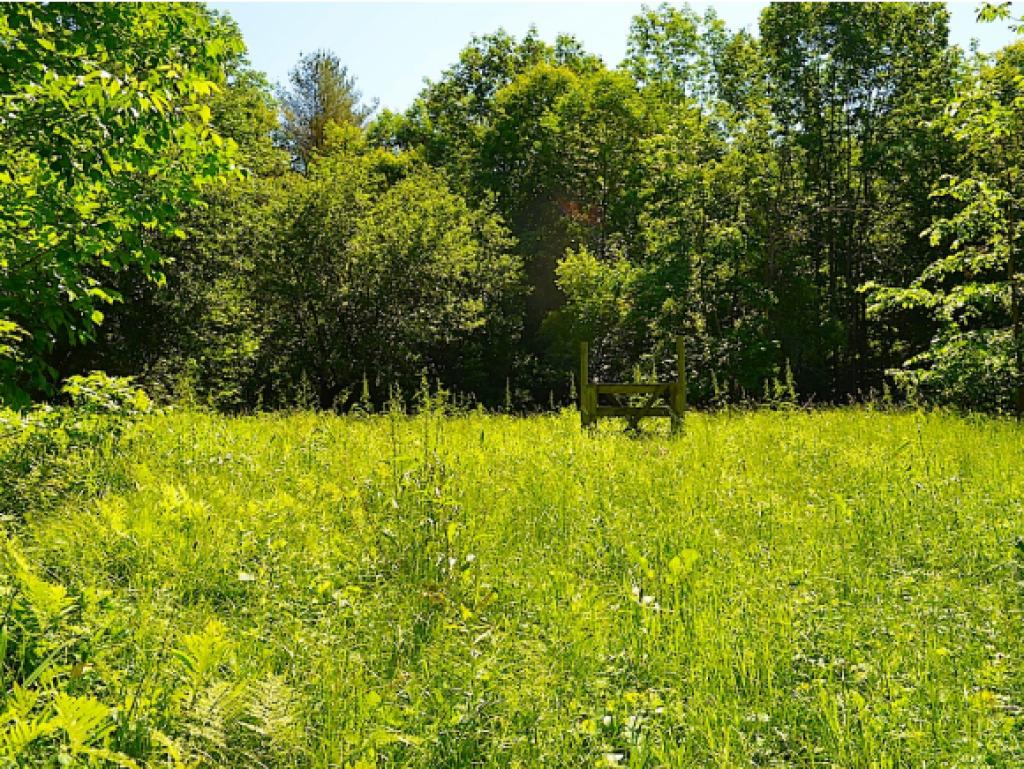 507 County Road Hillsborough, NH 03244 - Photo 10 of 22