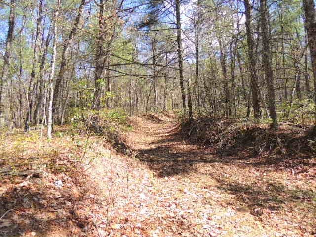 Tbd Locust Hill Road Max Meadows, VA 24360 - Photo 11 of 20 Gallery Image 11