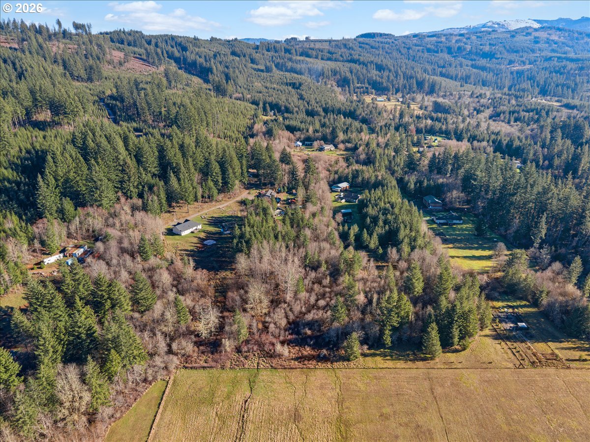 23728 Northeast Dole Valley Road Yacolt, WA 98675 - Photo 41 of 46