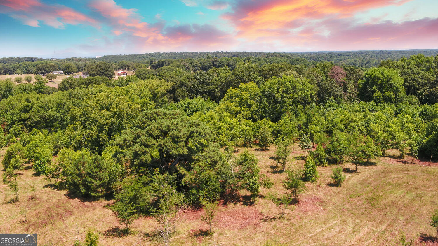 3439-tract 1 Providence Church Road Hartwell, GA 30643 - Photo 12 of 30 a view of a city with lush green forest