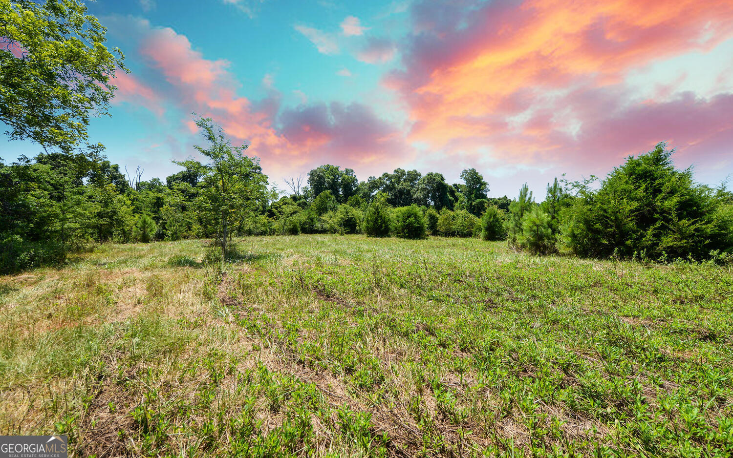 3439-tract 1 Providence Church Road Hartwell, GA 30643 - Photo 13 of 30 a view of a yard with a tree