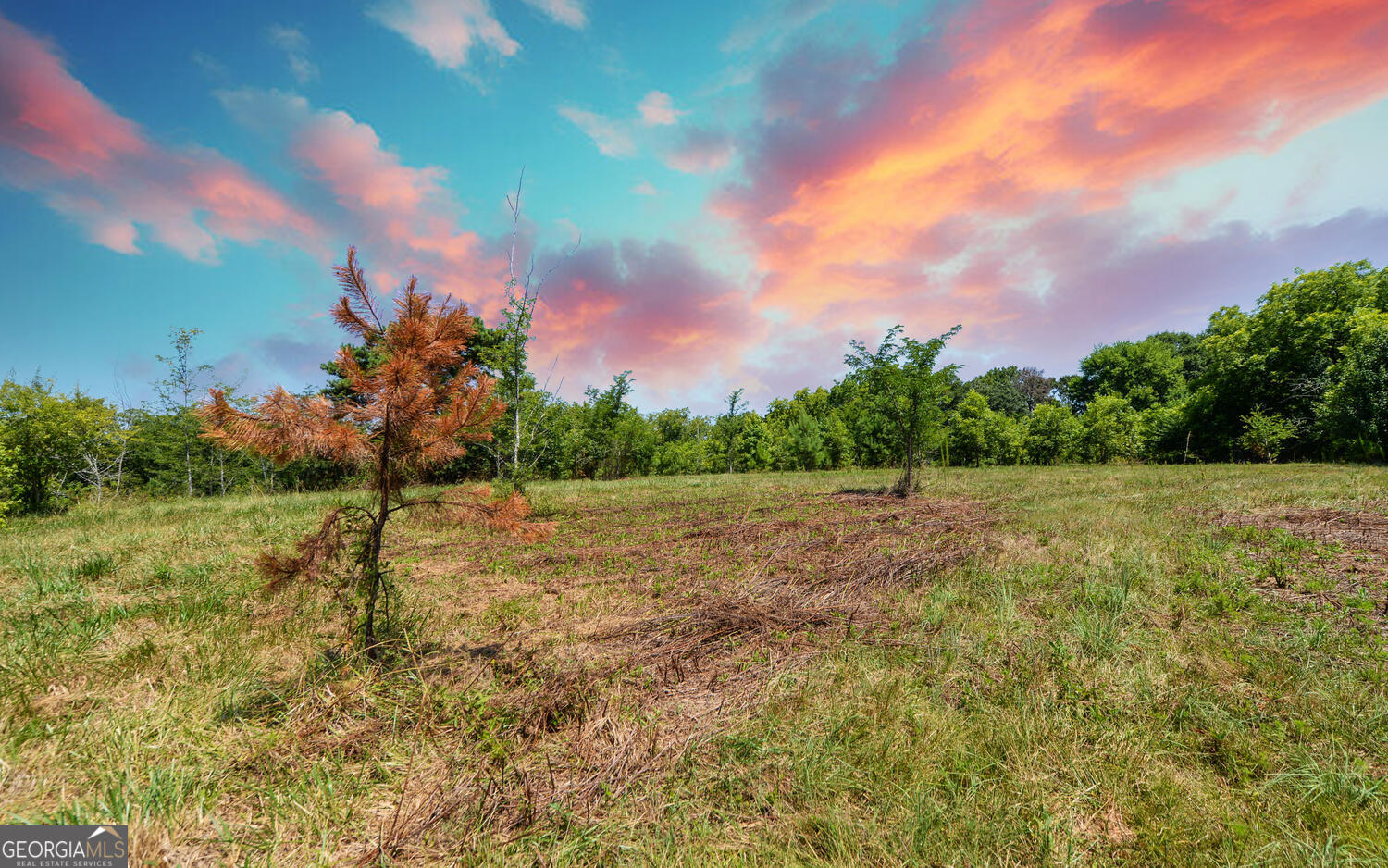 3439-tract 1 Providence Church Road Hartwell, GA 30643 - Photo 15 of 30 a view of a big yard with plants and large trees