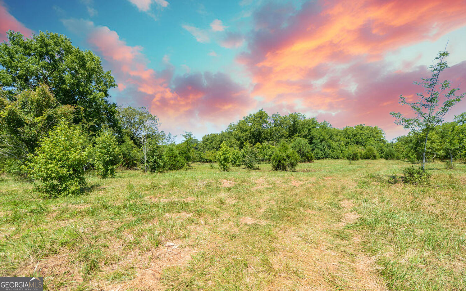 3439-tract 1 Providence Church Road Hartwell, GA 30643 - Photo 19 of 30 a view of a yard with an trees
