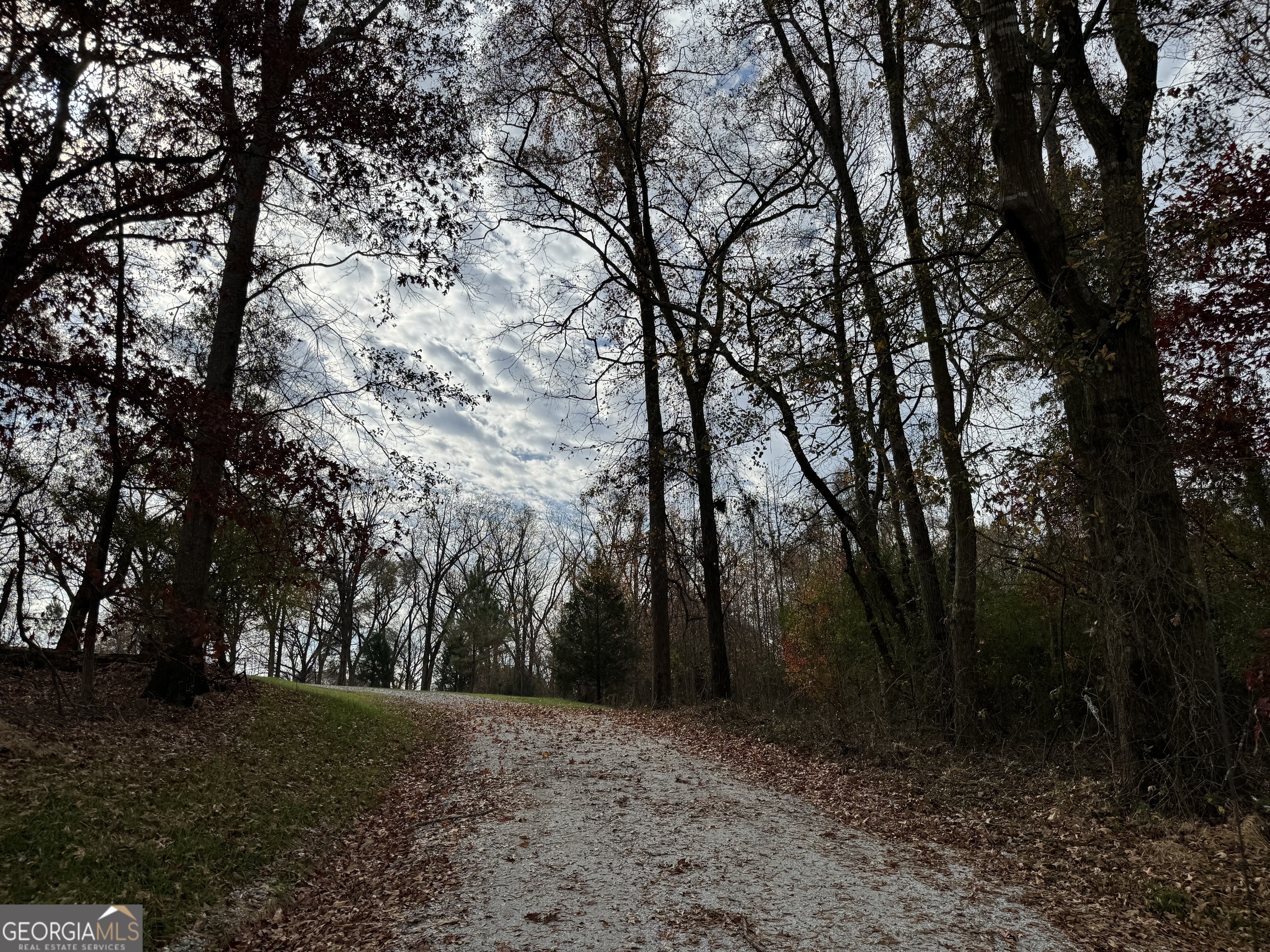 3439-tract 1 Providence Church Road Hartwell, GA 30643 - Photo 2 of 30 a view of backyard with green space
