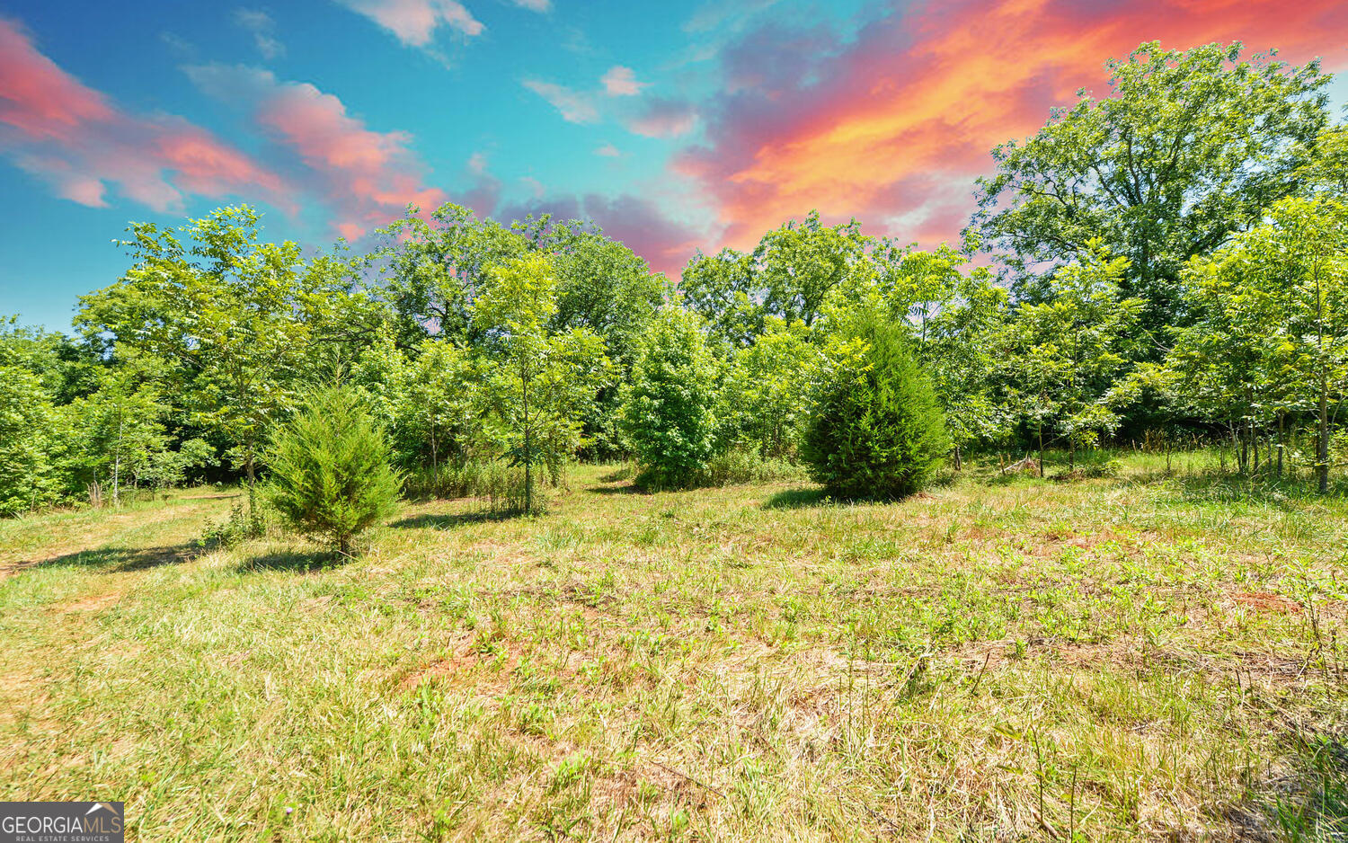 3439-tract 1 Providence Church Road Hartwell, GA 30643 - Photo 22 of 30 a backyard of a building with large trees
