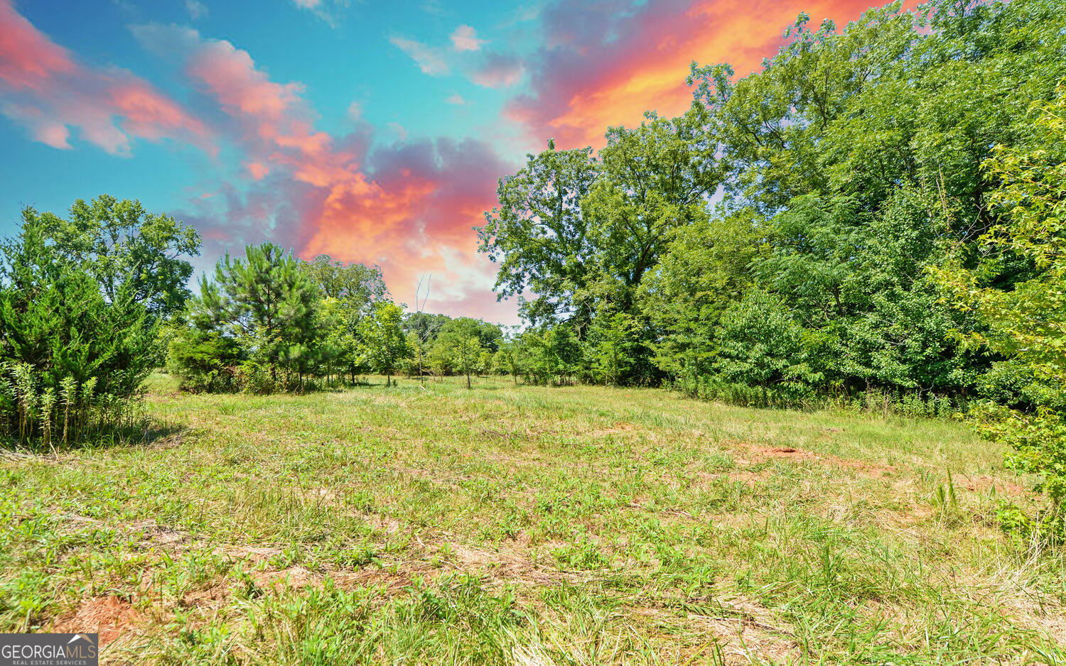 3439-tract 1 Providence Church Road Hartwell, GA 30643 - Photo 23 of 30 a view of yard with green space