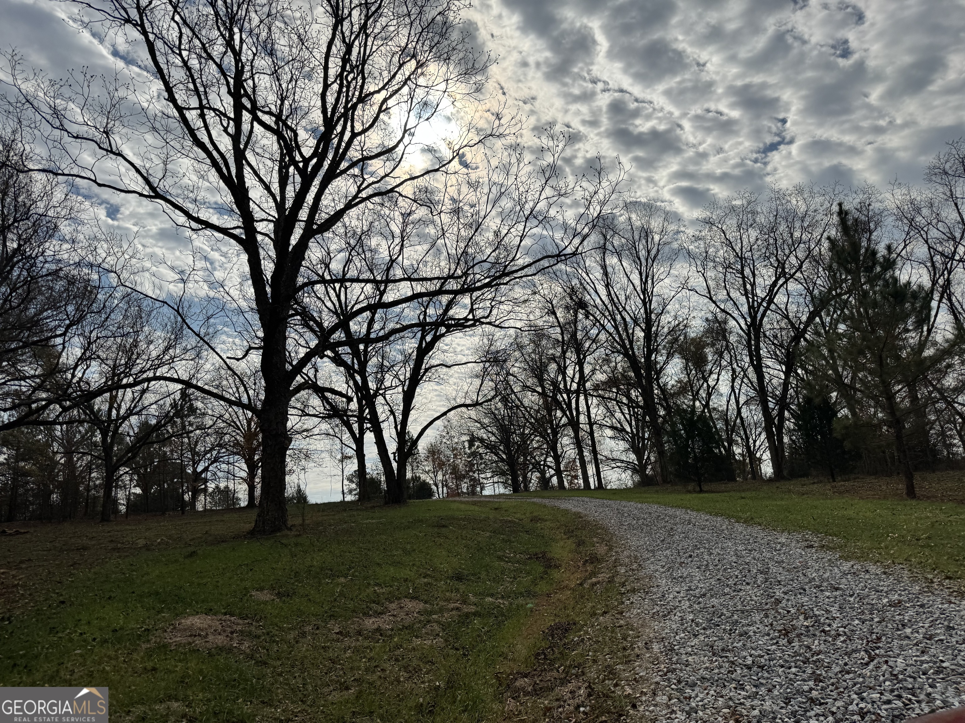 3439-tract 1 Providence Church Road Hartwell, GA 30643 - Photo 3 of 30 a big yard with trees