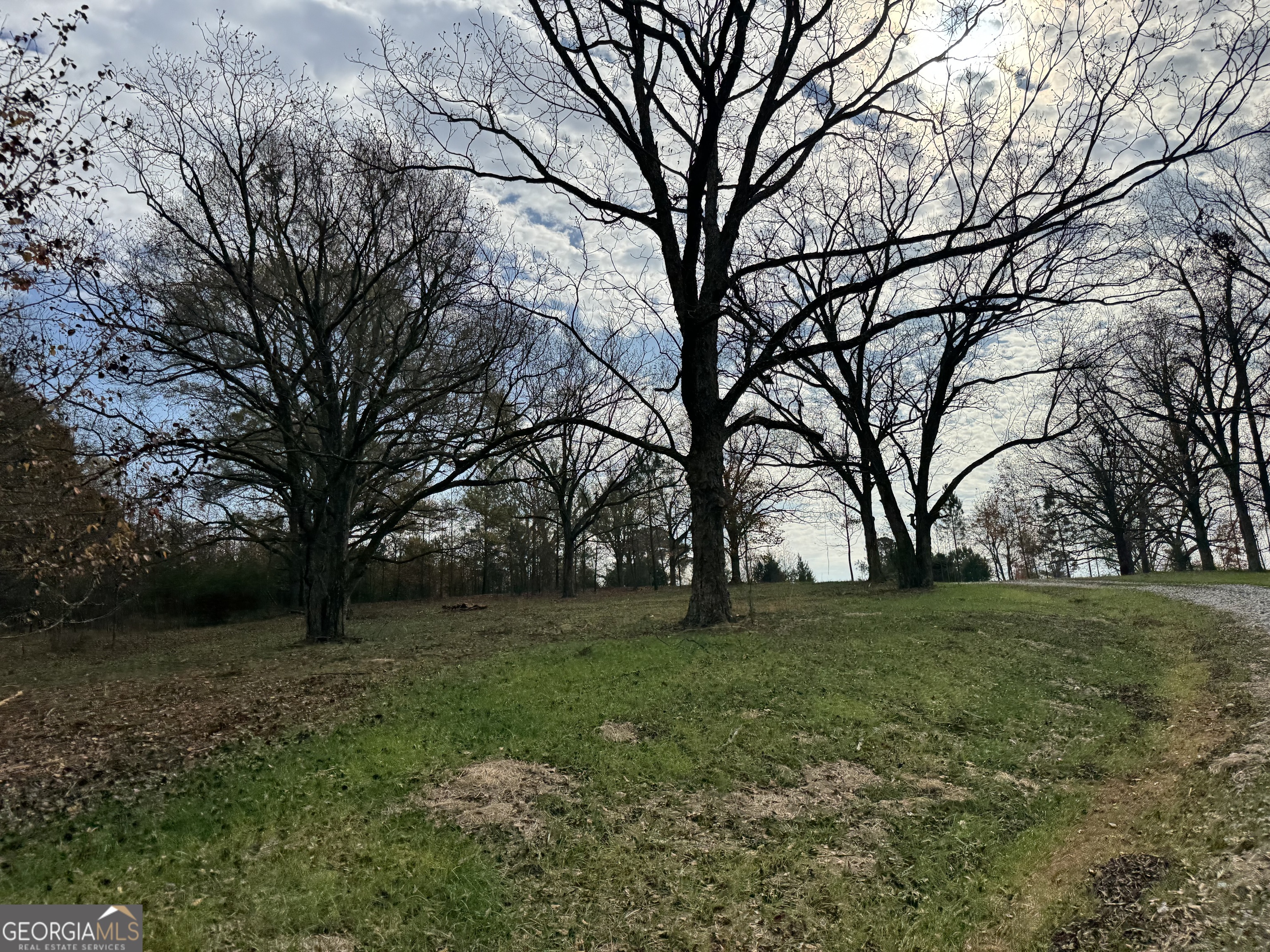 3439-tract 1 Providence Church Road Hartwell, GA 30643 - Photo 4 of 30 a backyard of a house with lots of green space