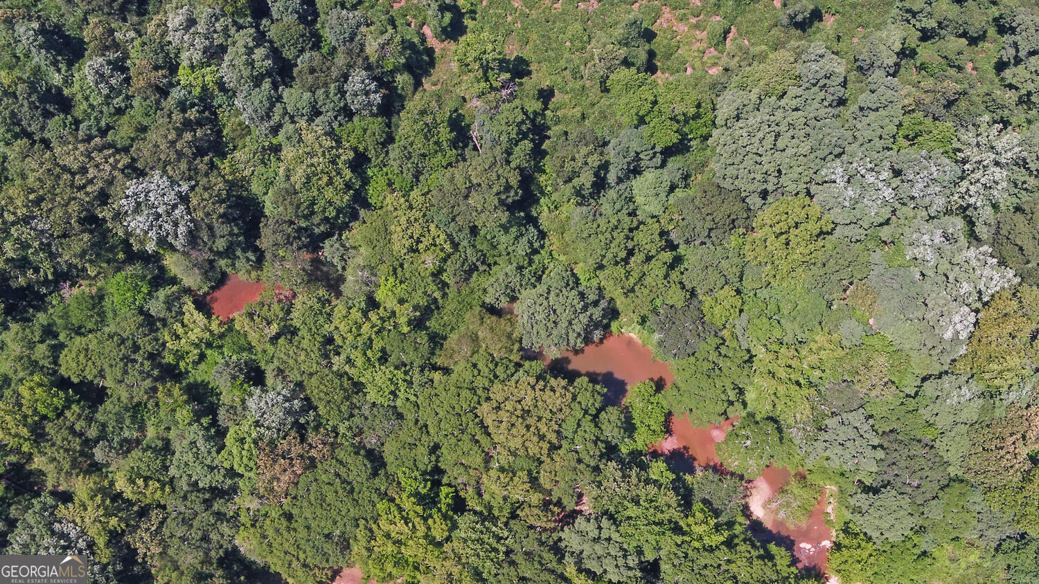 3439-tract 1 Providence Church Road Hartwell, GA 30643 - Photo 6 of 30 a view of a yard with plants and wooden wall