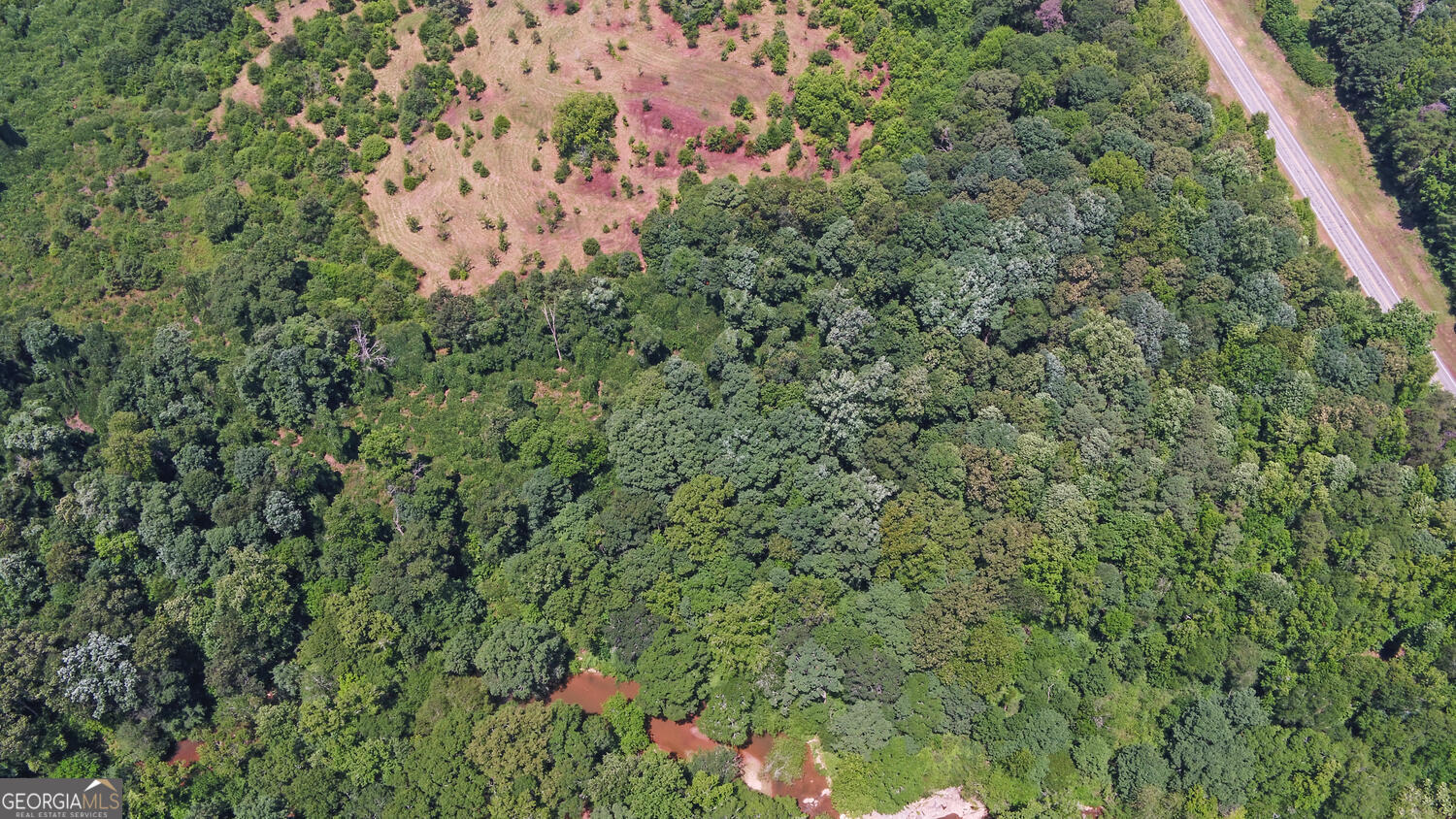 3439-tract 1 Providence Church Road Hartwell, GA 30643 - Photo 10 of 30 a close up of a plant in a yard