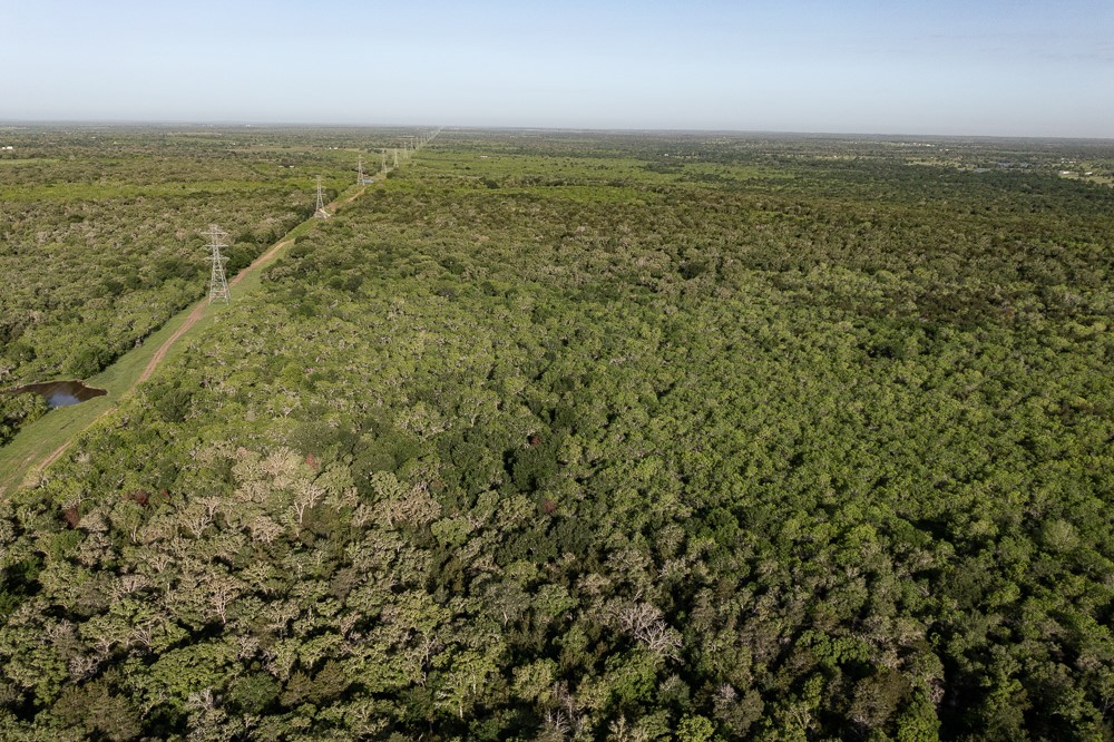 Tbd Anchor Ranch Loop Flatonia, TX 78941 - Photo 12 of 15 a view of an ocean
