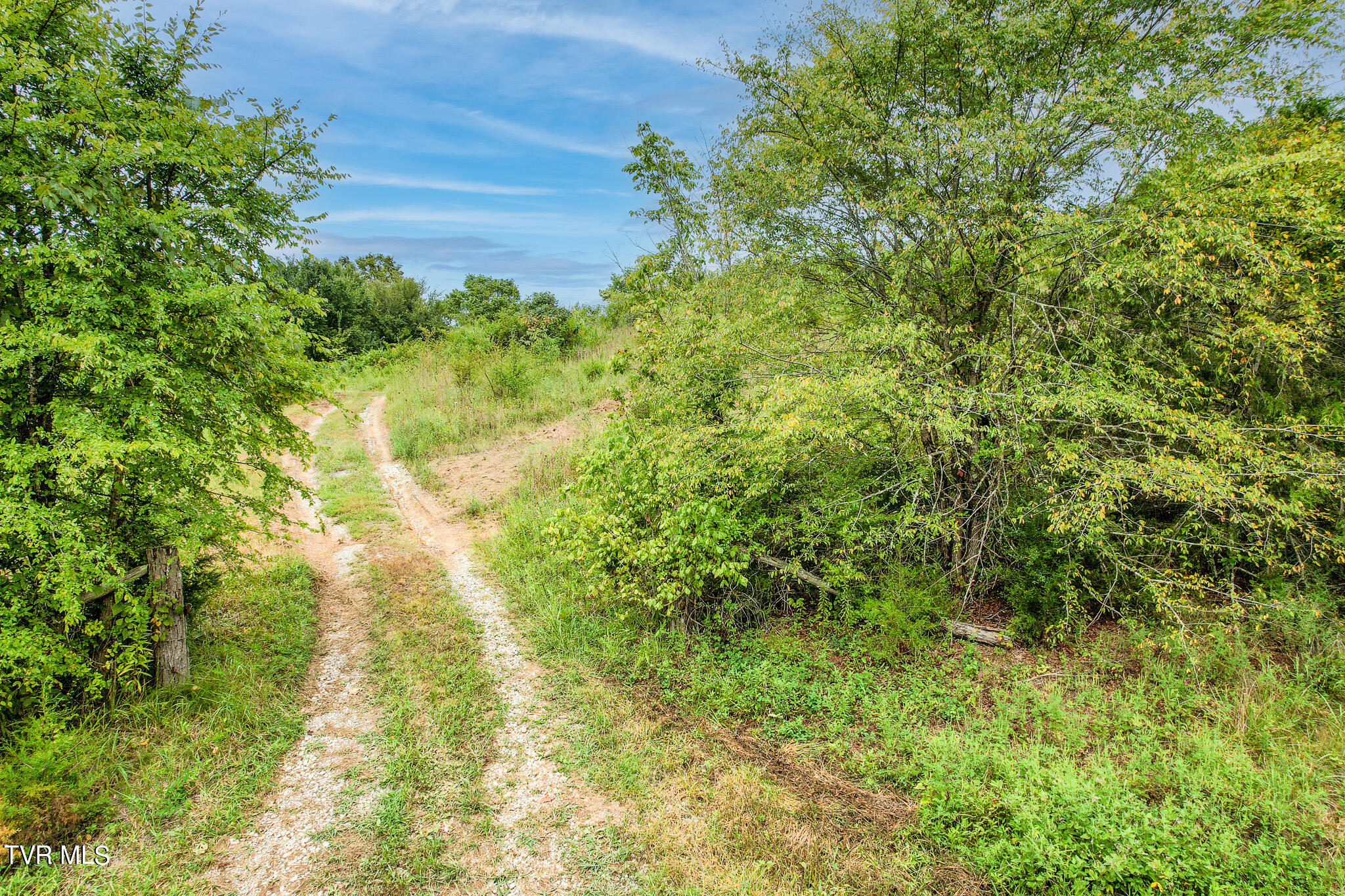 180 Union Road, Unit 15 Greeneville, TN 37745 - Photo 28 of 42 DJI_0822-4-Edit