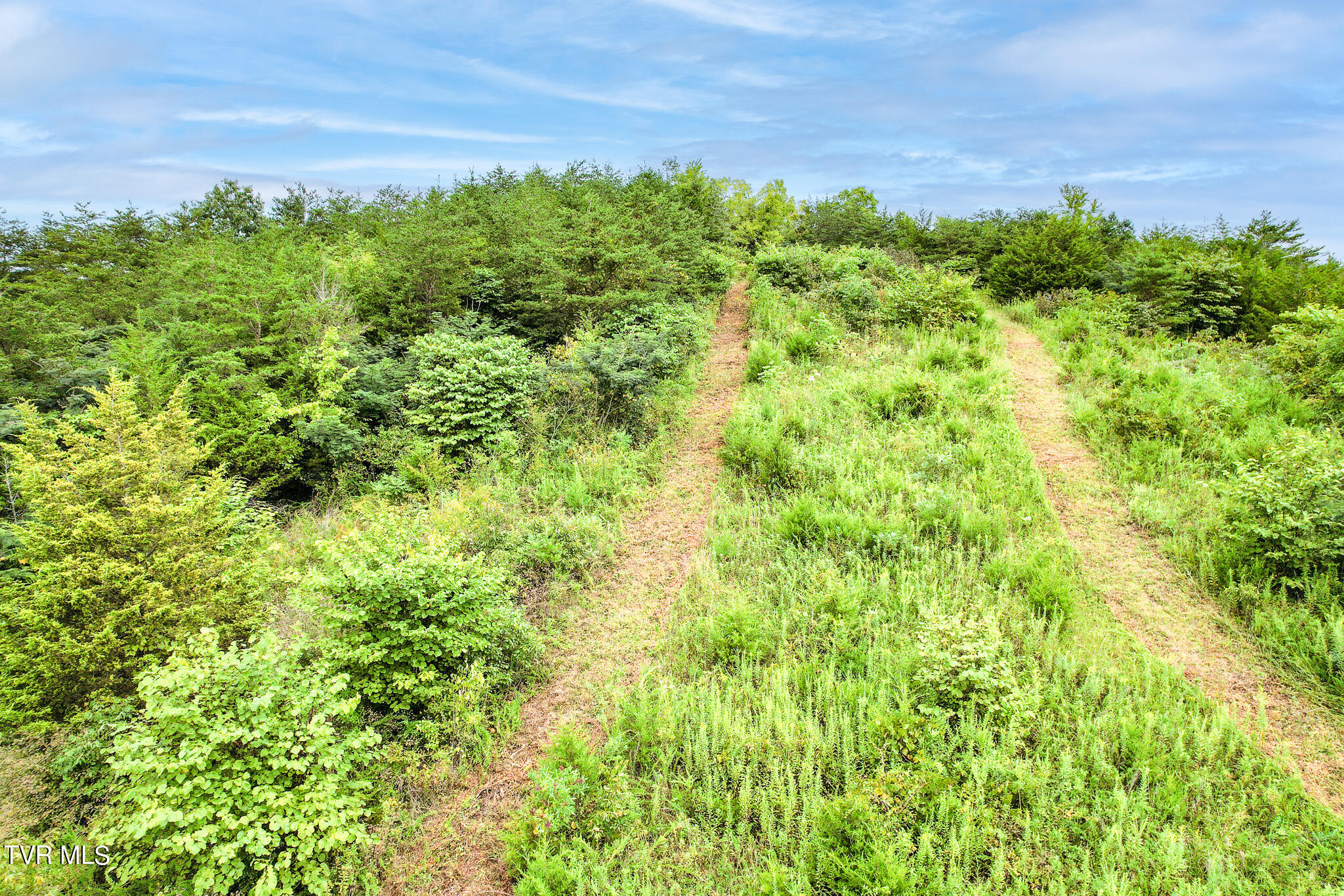 180 Union Road, Unit 15 Greeneville, TN 37745 - Photo 34 of 42 DJI_0834-Edit