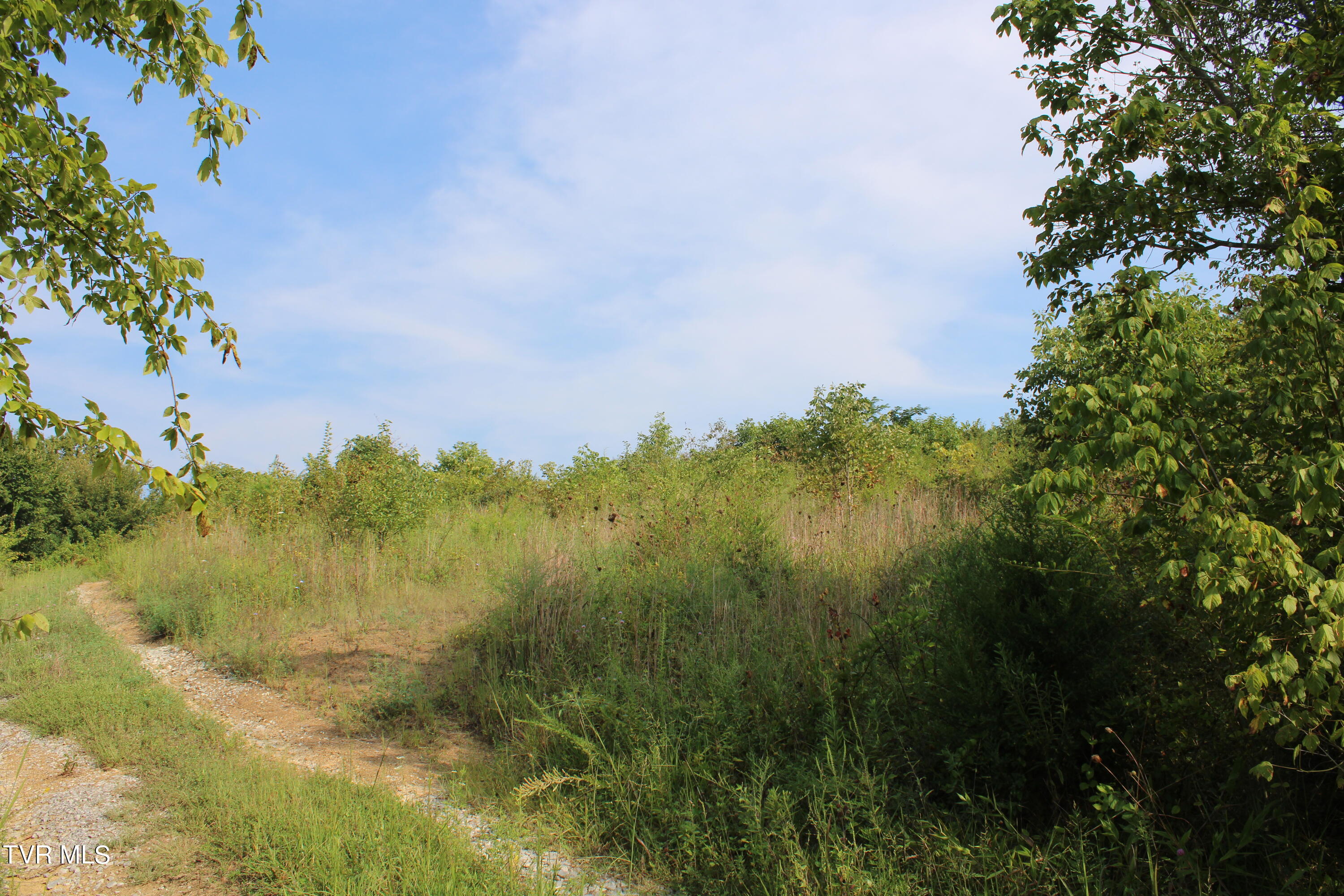 180 Union Road, Unit 15 Greeneville, TN 37745 - Photo 36 of 42 IMG_1851