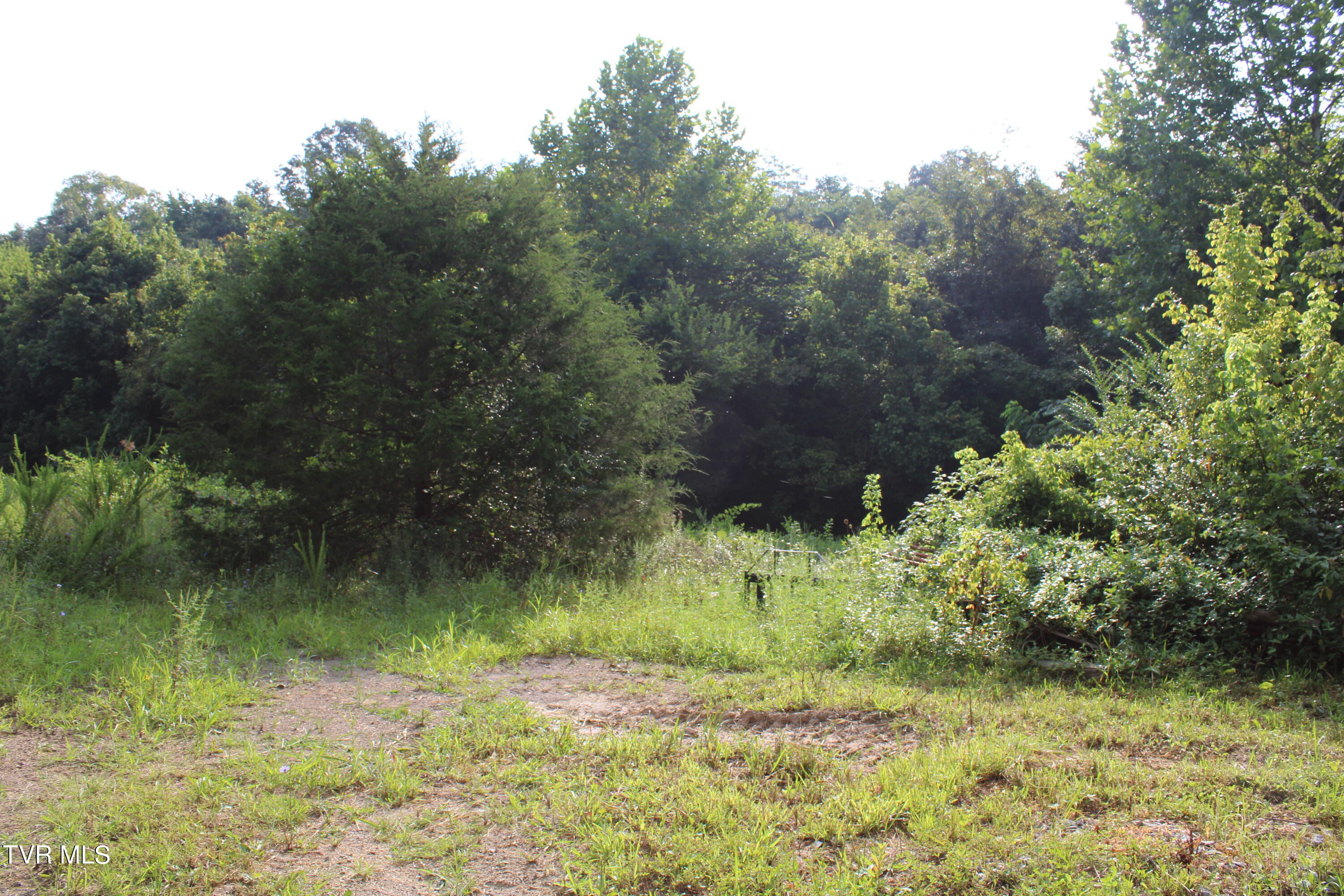 180 Union Road, Unit 15 Greeneville, TN 37745 - Photo 38 of 42 IMG_1865