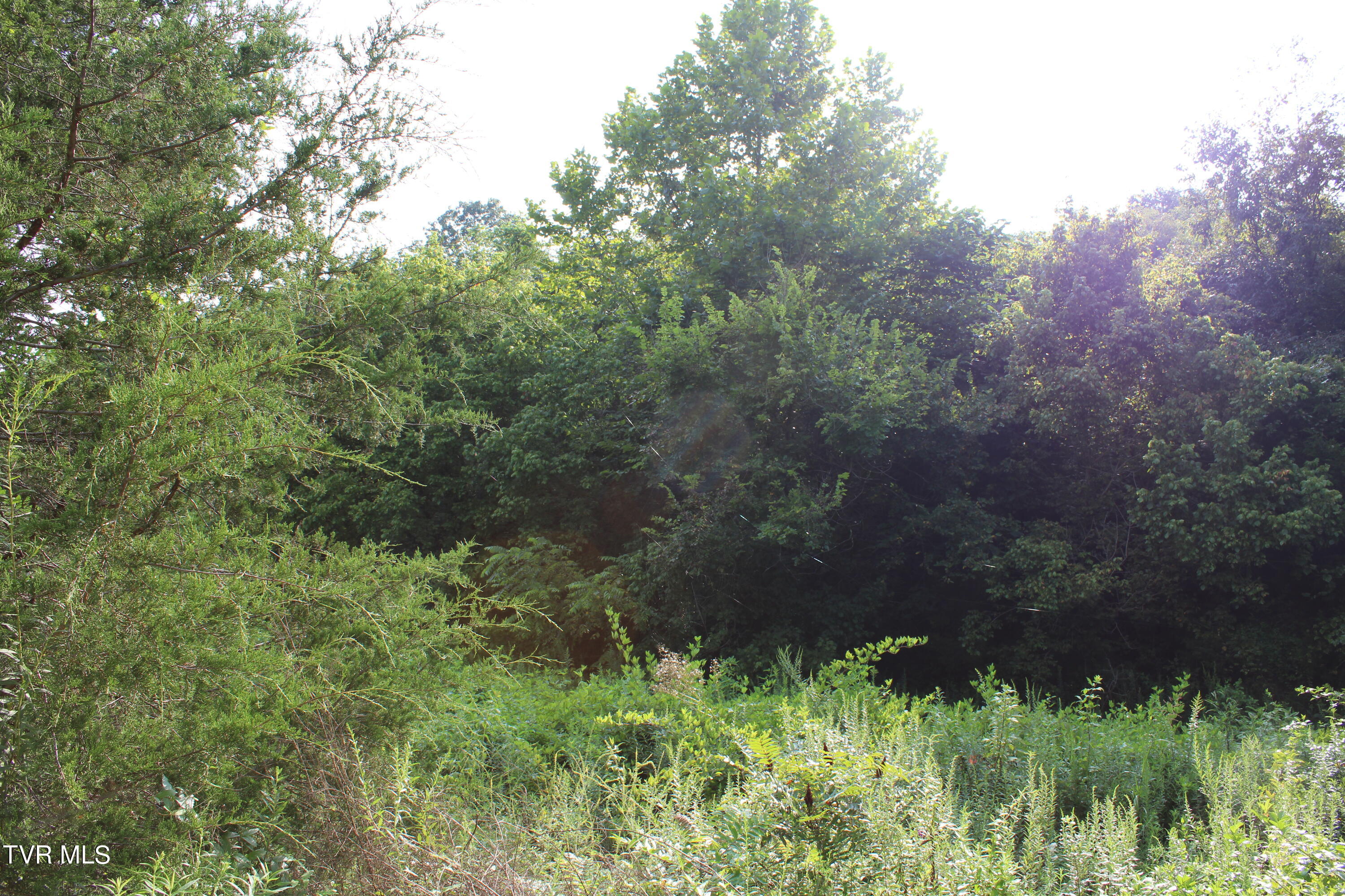 180 Union Road, Unit 15 Greeneville, TN 37745 - Photo 40 of 42 IMG_1869