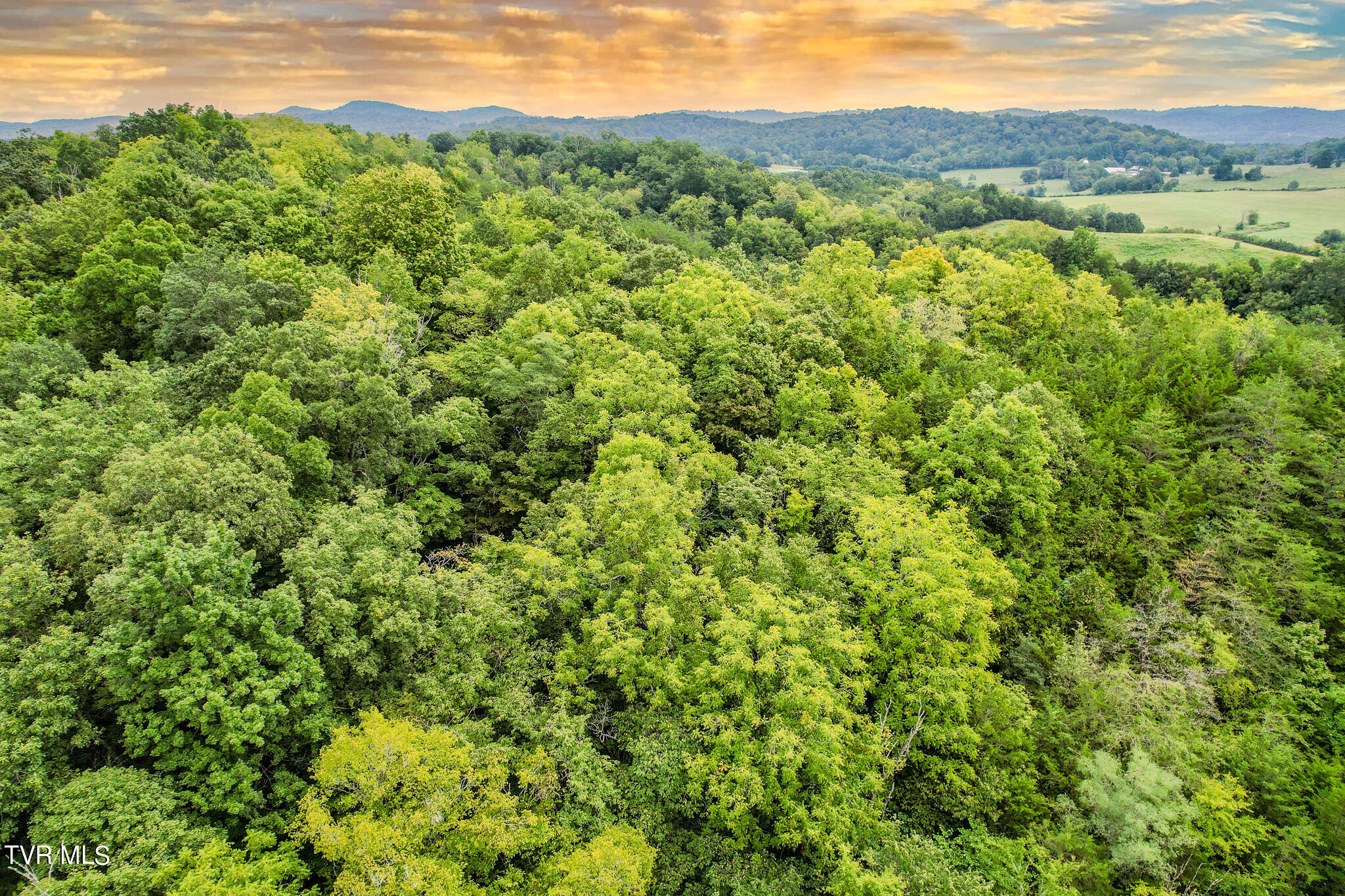 180 Union Road, Unit 15 Greeneville, TN 37745 - Photo 4 of 42 DJI_0775-Edit