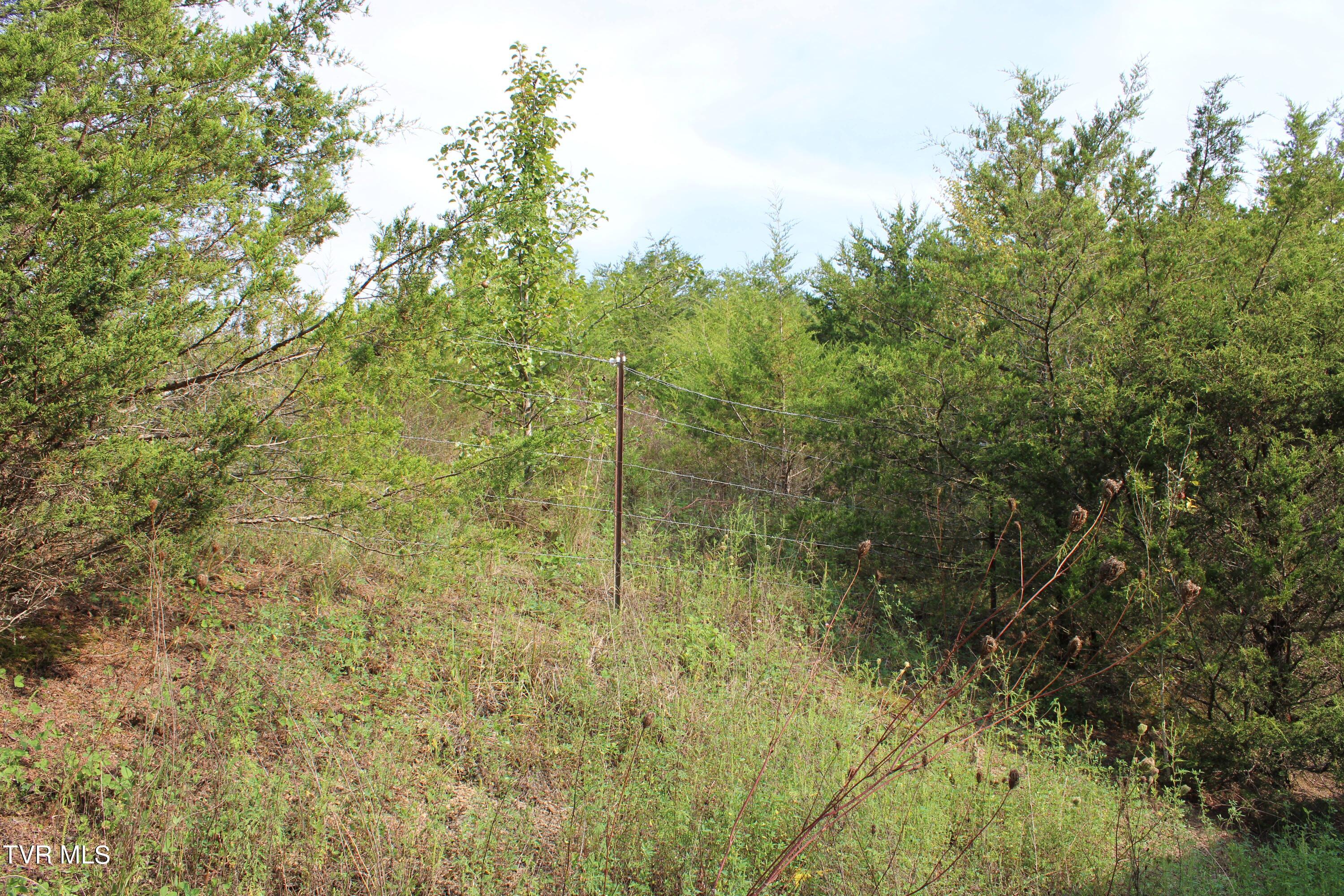 180 Union Road, Unit 15 Greeneville, TN 37745 - Photo 41 of 42 IMG_1863