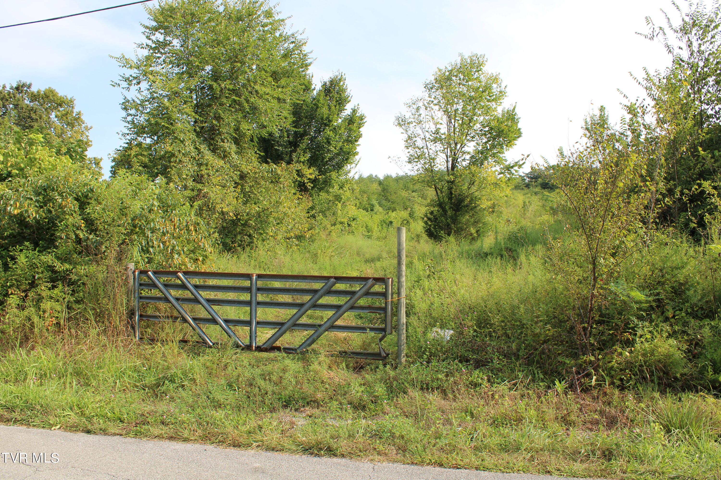180 Union Road, Unit 15 Greeneville, TN 37745 - Photo 42 of 42 IMG_1871