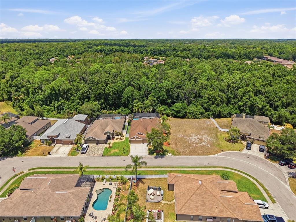 11143 Ragsdale Court New Port Richey, FL 34654 - Photo 76 of 98 Gallery Image 76