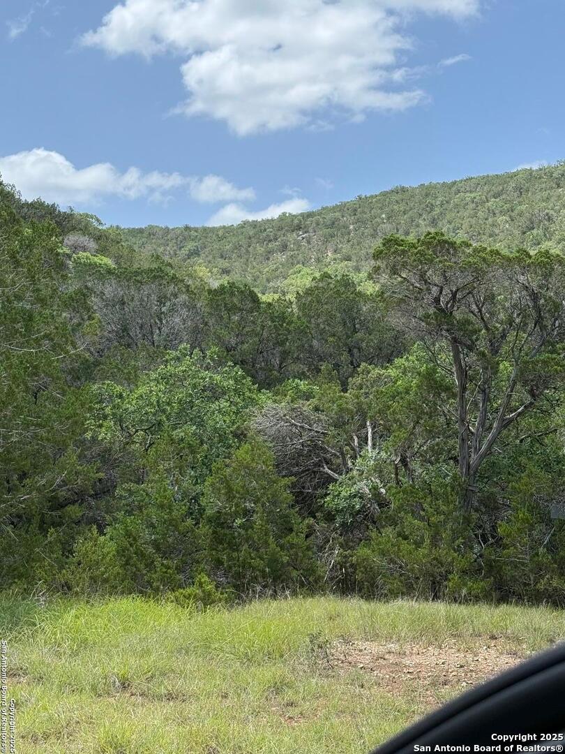 159 Valley Vista Road Tarpley, TX 78883 - Photo 1 of 20