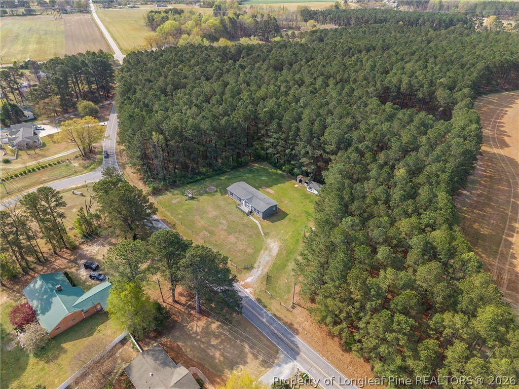 2252 Old Stage Road South Erwin, NC 28339 - Photo 43 of 47 a view of a yard with plants