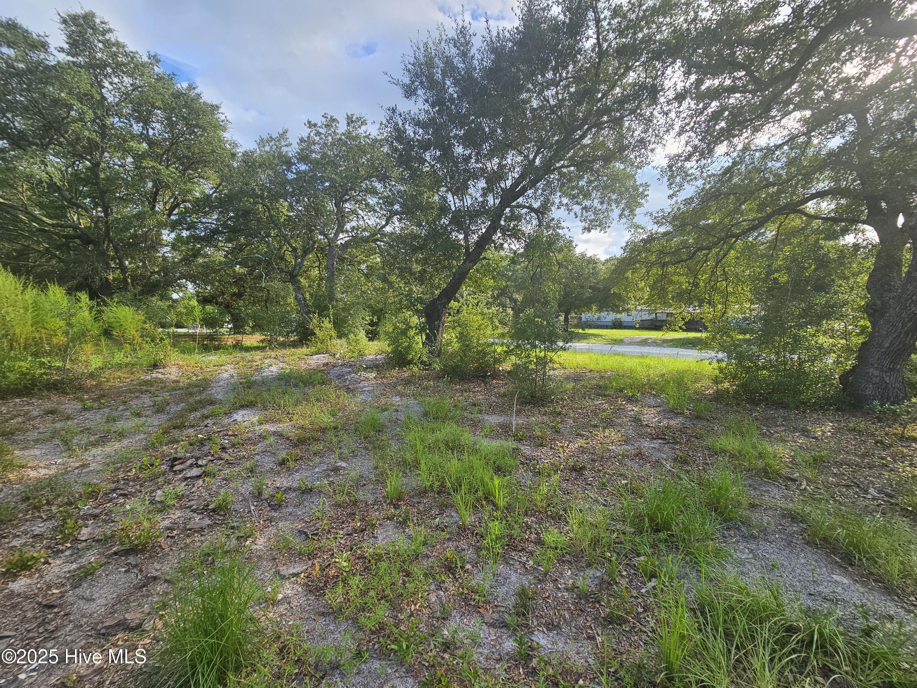 162 Holden Road Holly Ridge, NC 28445 - Photo 7 of 9 20250822_174559