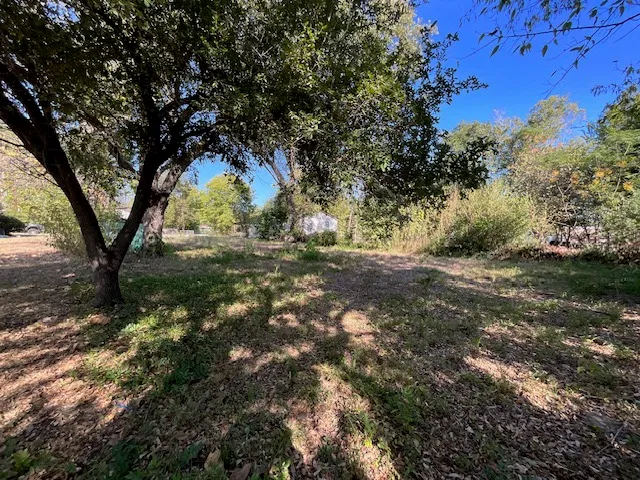 a view of outdoor space with trees