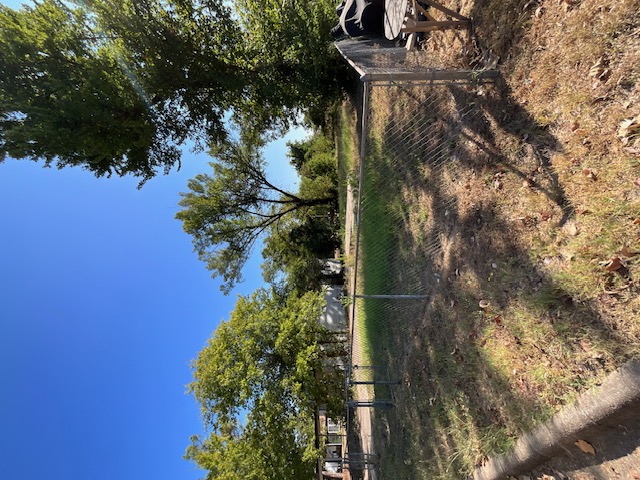 1005 West 8th Street Cameron, TX 76520 - Photo 15 of 16 a backyard of a house with lots of green space