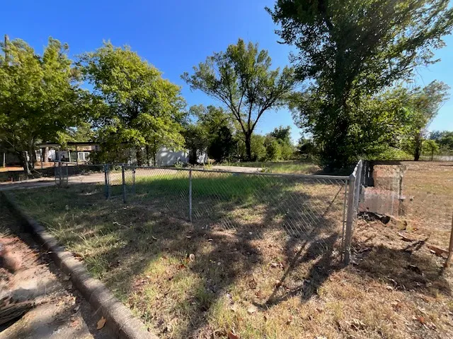 a view of a tree in a yard