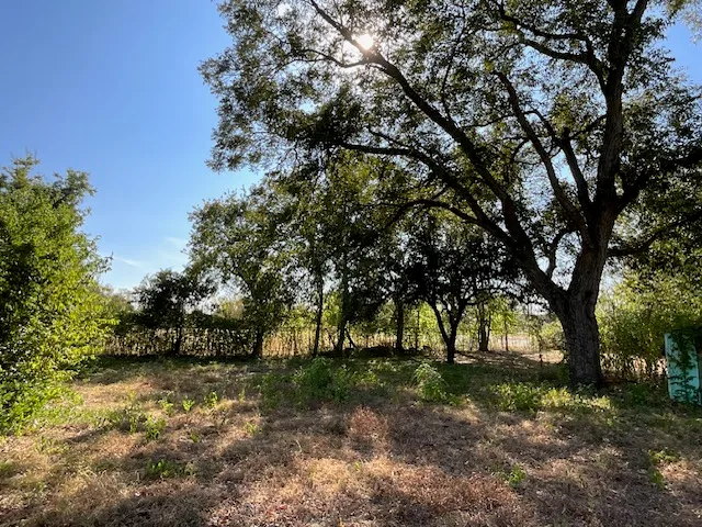 a view of outdoor space and yard