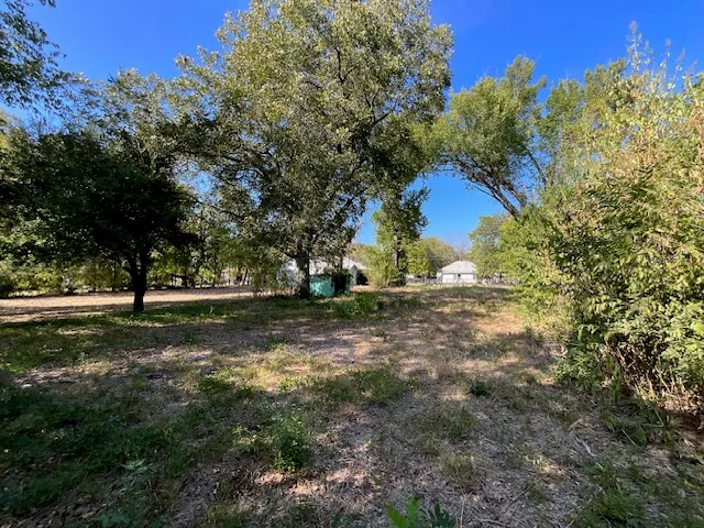 a view of backyard of green space