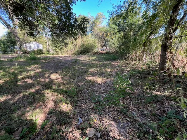 a view of outdoor space with trees all around