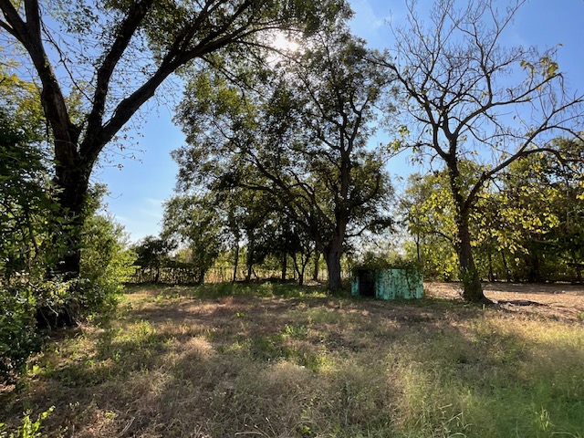 1005 West 8th Street Cameron, TX 76520 - Photo 6 of 16 a view of outdoor space with trees