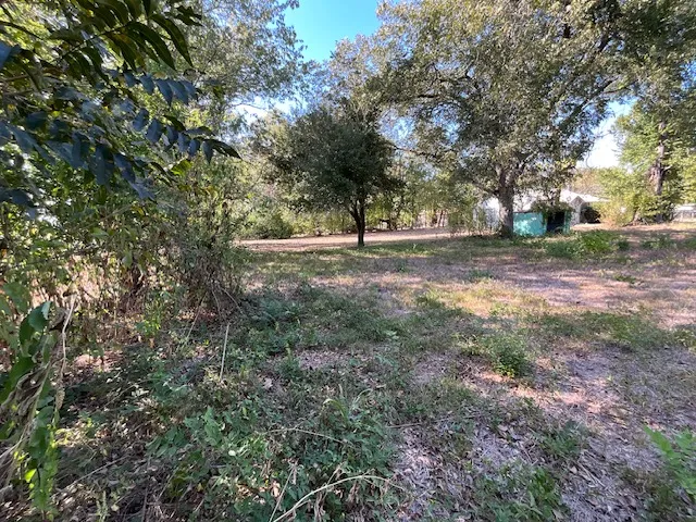 a view of a yard with a tree